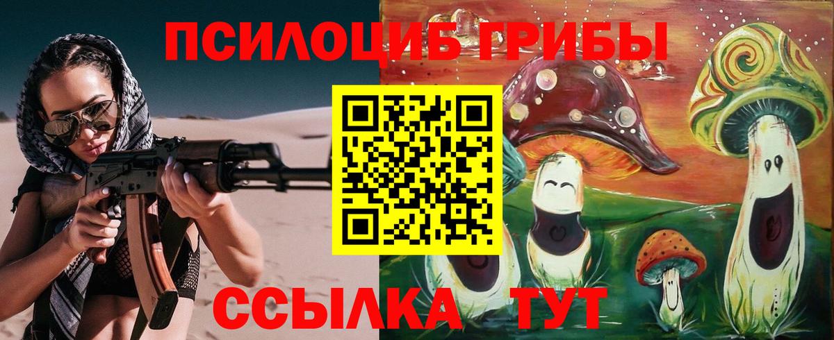 Мариинск  Псилоцибиновые грибы прущие грибы  Вход с VPN 